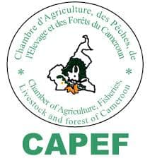 Logo partner fdm foundation